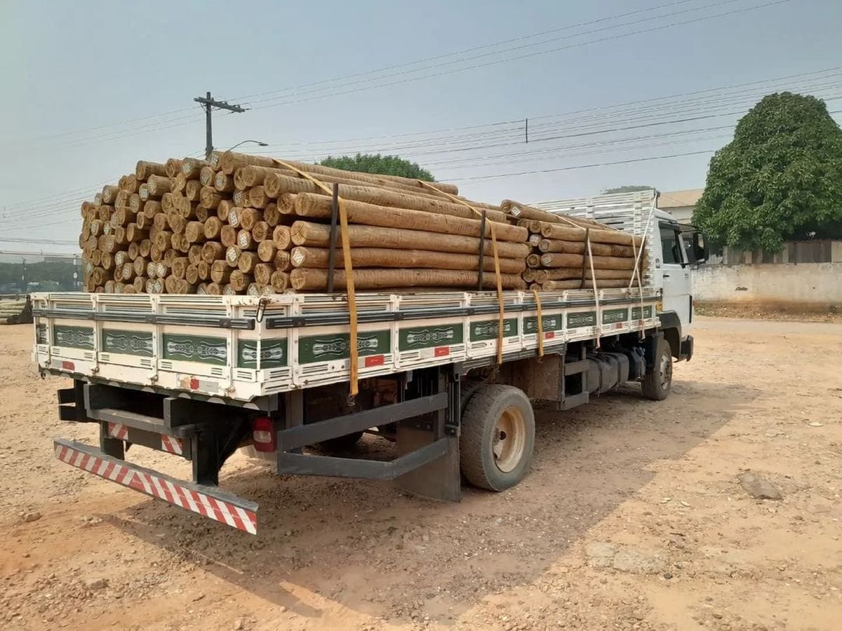 Caminhão carroceria carregado de peças de eucalipto tratado, amarradas com cintas, pronto para sair para entrega.